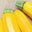 Courgette jaune