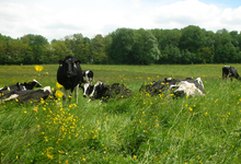 La ferme des Clérambauts