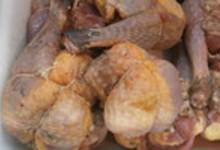 Cuisse de pintade farcie forestière , La Ferme des Clérambauts