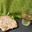 Pâté de canard au vieux Marc de Champagne, canardises des 3 vallées