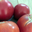 tomate bio, Eddy Vray