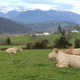 Producteurs-en-direct.fr