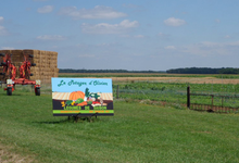 Ferme de Noncerve, le potager d'Olivier