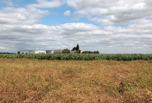 Ferme de Noncerve, le potager d'Olivier