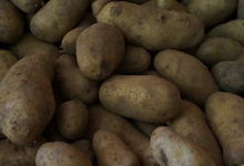 pomme de terre