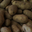 pomme de terre