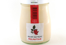 Fromagerie Beillevaire, yaourt églantine