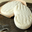 Fromagerie Beillevaire, Le Mojette