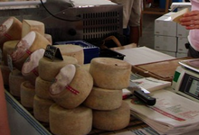 ferme Mendigorria, Tomme de chèvre affinée (3 mois minimum)