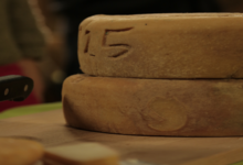 fromages de chèvre bio