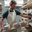 ferme Ekibegia, fromage de brebis