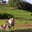 Ferme Bizkaia