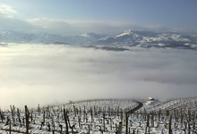 Ferme Larraldea, domaine Bordaxuria