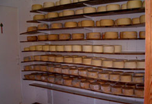 GAEC KRISTOBAL, Fromage fermier AOP Ossau Iraty au lait cru
