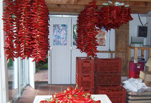 Ferme Contourloenea