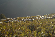 Ferme Mendialde