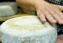 Fromage fermier AOP Ossau Iraty au lait cru Murgia
