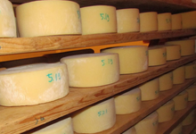 FERME BETIRISASTEA, fromages de brebis