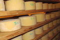 FERME BETIRISASTEA, fromages de brebis