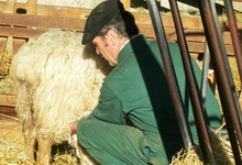 FERME XEDARRIA, GAEC Xedarria 