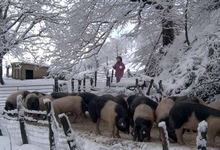 Ferme Uhaldea