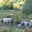 Ferme Uhaldea