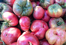 tomate noires de Crimée
