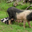 Ferme Arleia