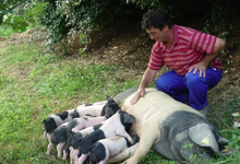 Ferme Arleia