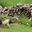 Ferme Arleia