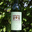 domaine Betberder, Pacherenc du Vic-Bilh sec