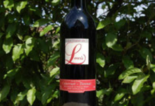 domaine Betberder, La Vigne de Louis ( Cabernet Franc/Tannat)