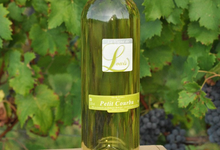 domaine Betberder, La vigne de Louis (100% Petit Courbu)