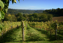 Domaine Capdevielle
