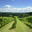 Domaine Capdevielle