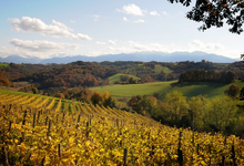 Domaine Capdevielle