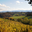 Domaine Capdevielle