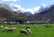 Ferme Ossiniri : fromages des Pyrénées