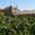 Château de Gayon
