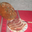 Ferme Bacquet,  Jambon