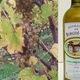 domaine de Burgué-Séré, Jurançon Sec