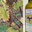 domaine de Burgué-Séré, Jurançon Sec