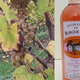 domaine de Burgué-Séré, Vin de Pays Rosé