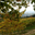 Domaine Reyau Bascourret