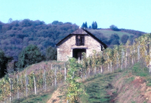 Domaine de BOURRASSOT