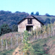 Domaine de BOURRASSOT