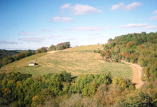 Domaine de BOURRASSOT