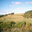 Domaine de BOURRASSOT