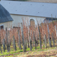 Domaine HAUGAROT