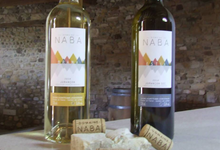 domaine Naba, jurançon sec Estia